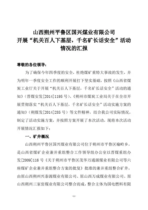 国兴煤业汇报材料