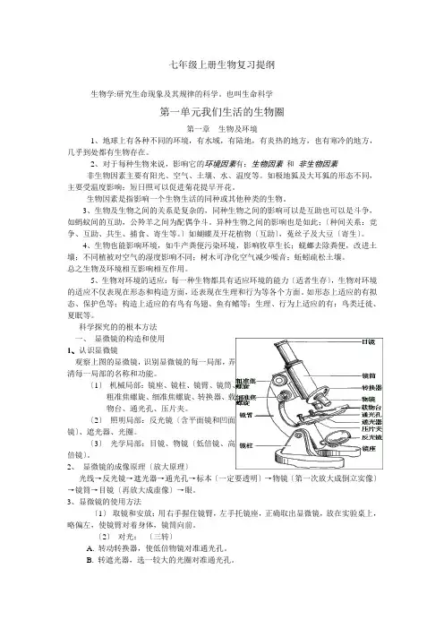 七年级上册生物复习提纲