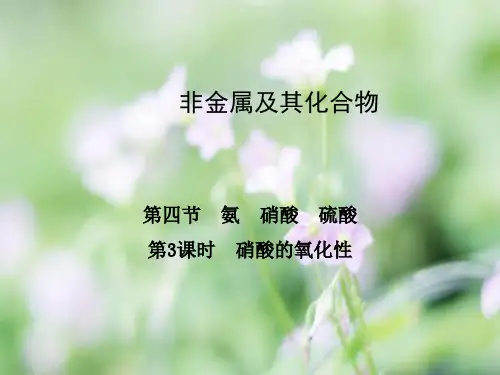 硝酸的氧化性PPT教学课件