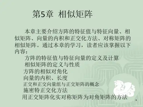 线性代数课件第5章相似矩阵