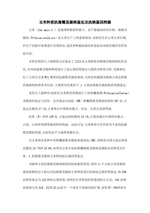 玉米种质抗腐霉茎腐病鉴定及抗病基因挖掘