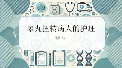 睾丸扭转病人的护理PPT
