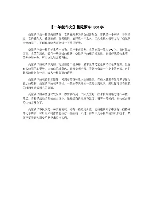 【一年级作文】曼陀罗华_800字