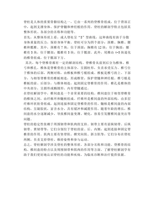 脊柱解剖学