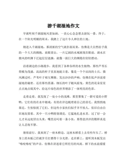 游千湖湿地作文