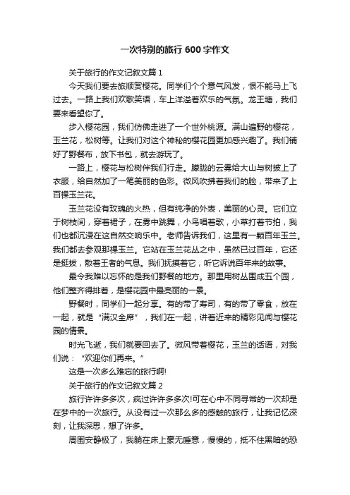 一次特别的旅行600字作文