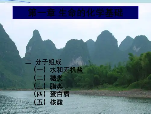 生命的化学基础