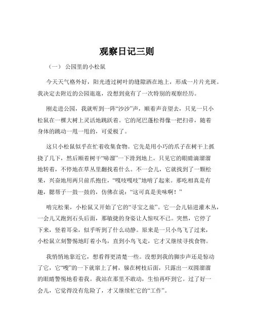 观察日记三则