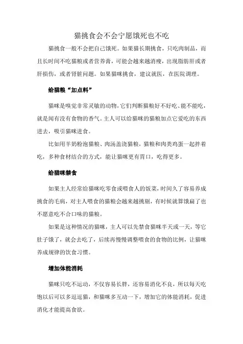 猫挑食会不会宁愿饿死也不吃