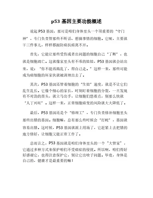 p53基因的主要功能