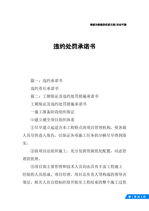 违约处罚承诺书