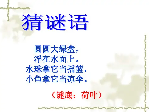 部编本小学语文一年级下册第13课《荷叶圆圆》课件