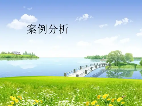商务谈判案例分析-PPT课件