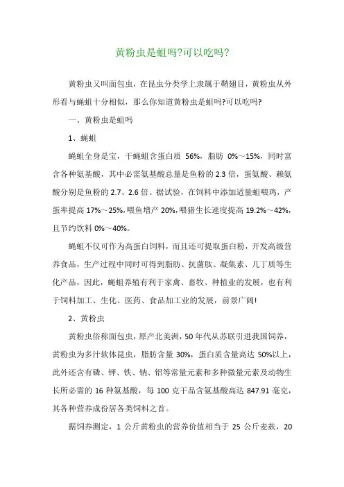 黄粉虫是蛆吗-可以吃吗-