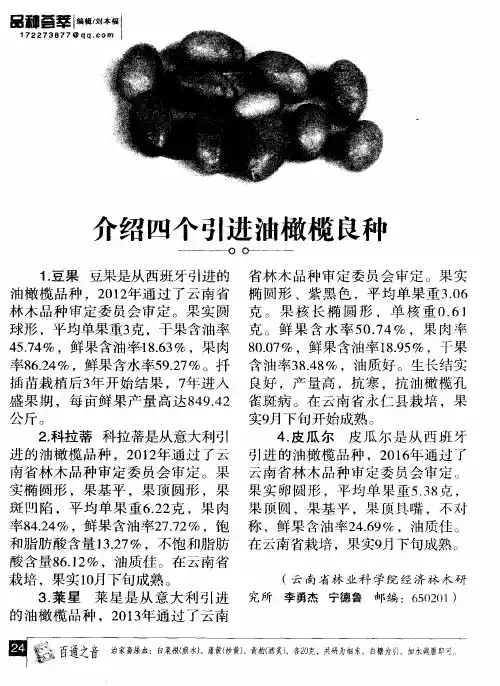 介绍四个引进油橄榄良种