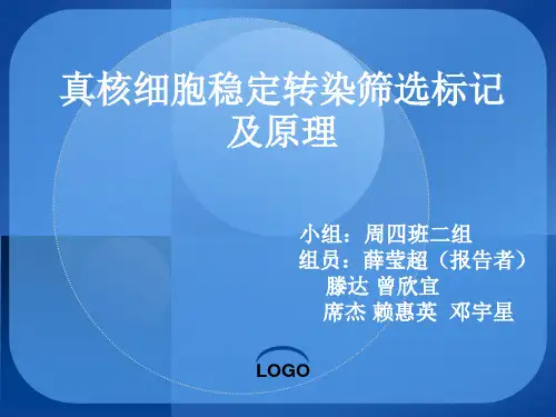 真核转染稳定筛选标记及原理