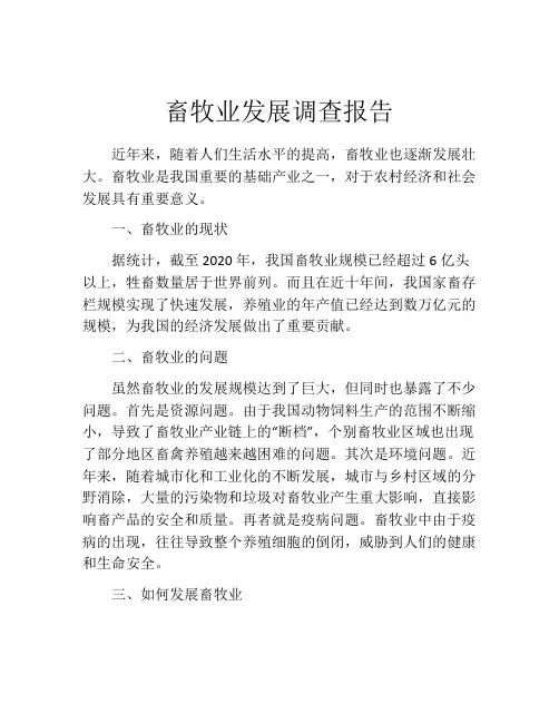 畜牧业发展调查报告