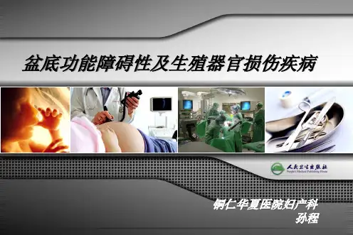 盆腔脏器脱垂 PPT课件
