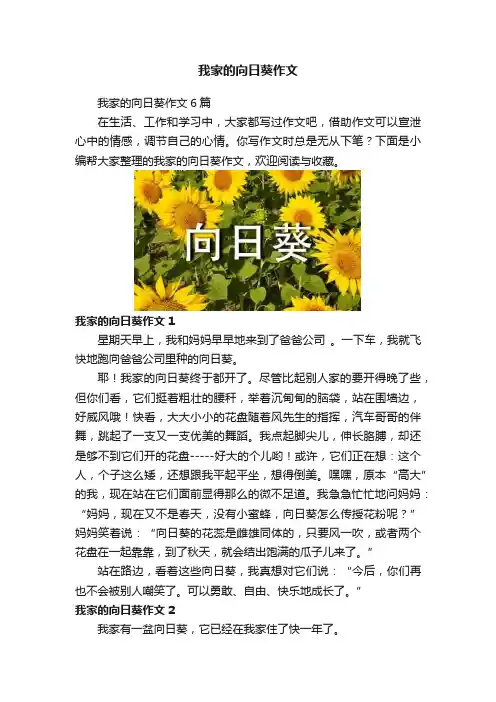 我家的向日葵作文