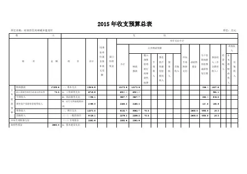 2015年收支预算总表