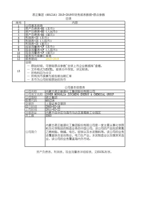 君正集团(601216)2015-2019年财务报表数据-原点参数