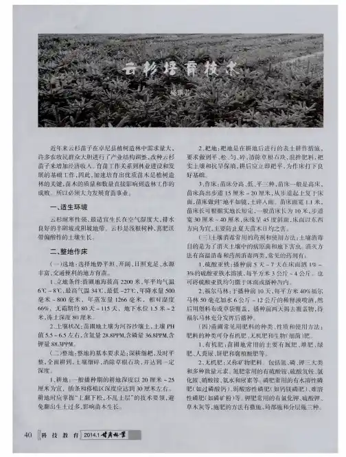 云杉培育技术
