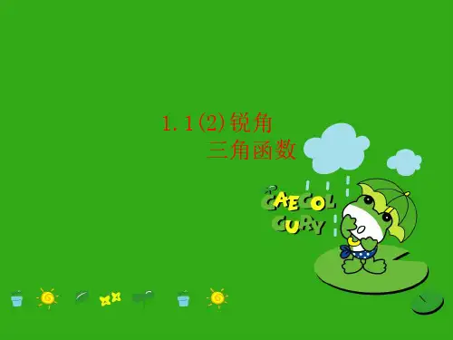 《锐角三角函数》PPT课件 (公开课获奖)2022年浙教版 (19)