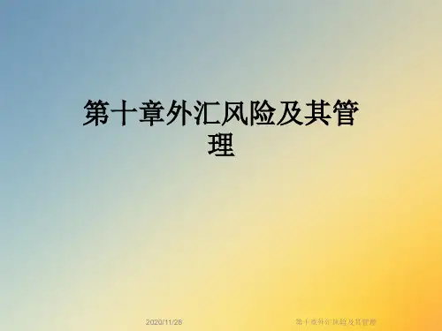 第十章外汇风险及其管理