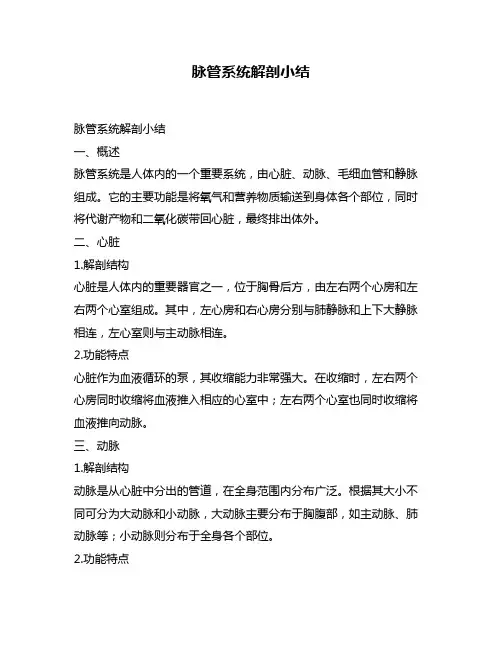 脉管系统解剖小结