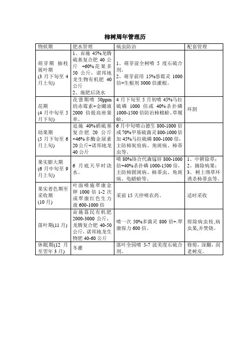 柿树周年管理历