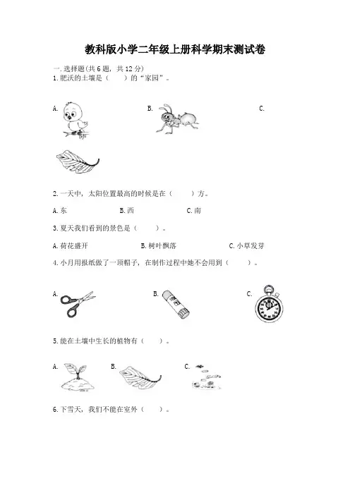 教科版小学二年级上册科学期末测试卷含答案【新】