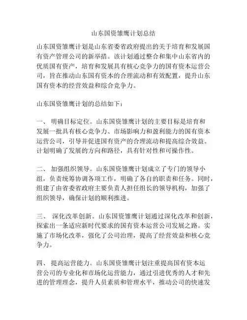 山东国资雏鹰计划总结
