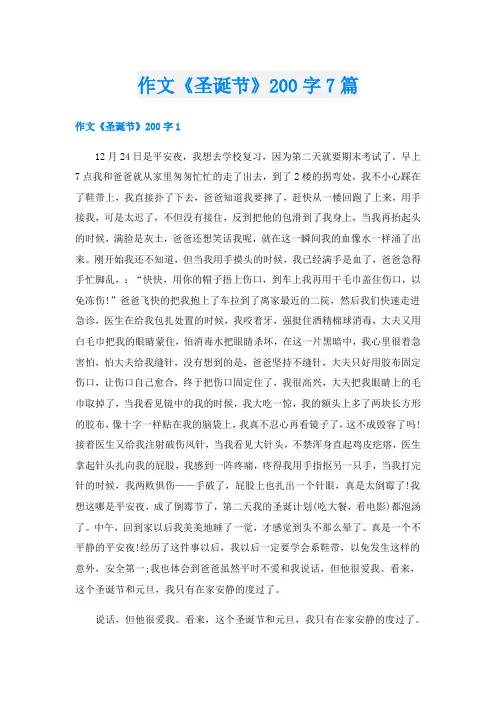 作文《圣诞节》200字7篇