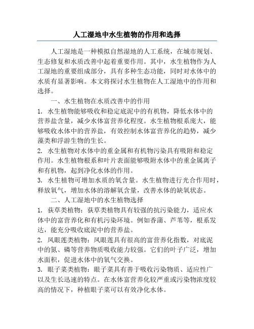 人工湿地中水生植物的作用和选择