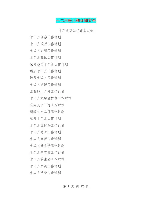 十二月份工作计划大全