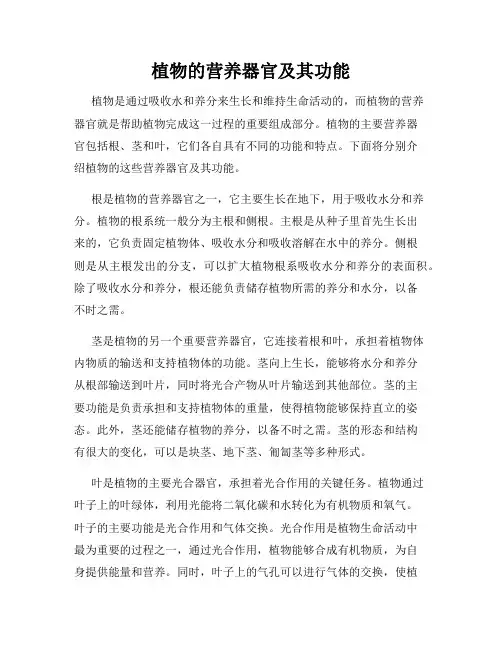 植物的营养器官及其功能