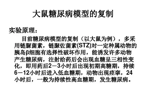 实验三大鼠糖尿病模型的复制