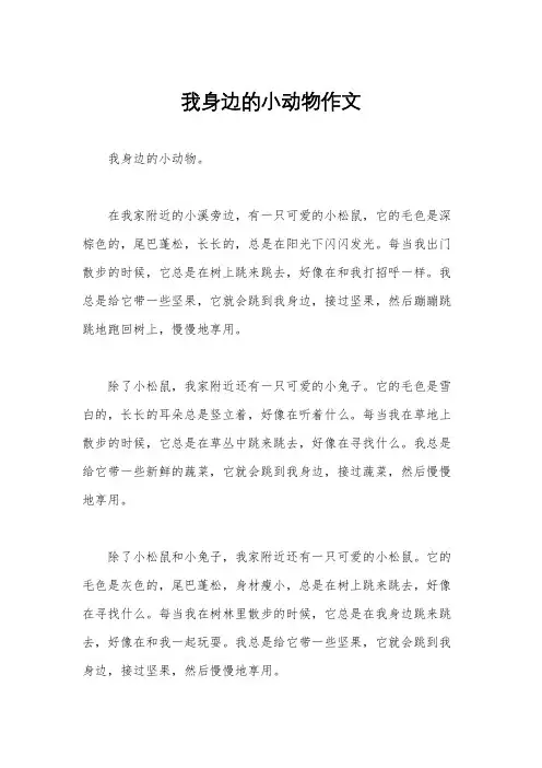 我身边的小动物作文