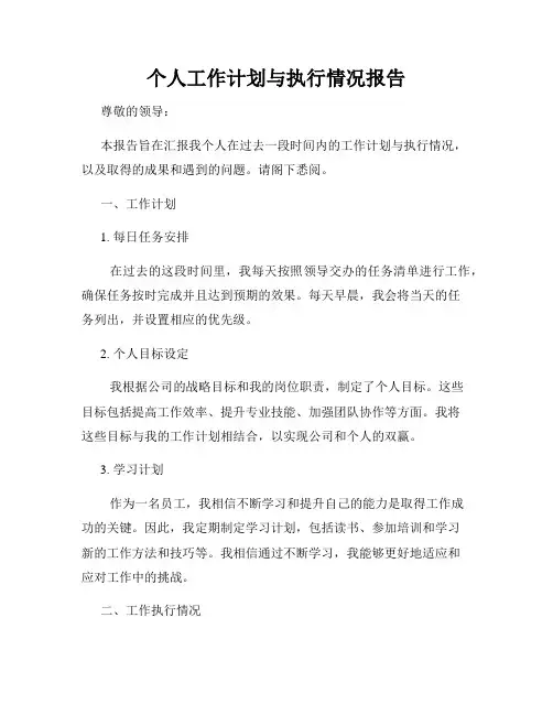 个人工作计划与执行情况报告