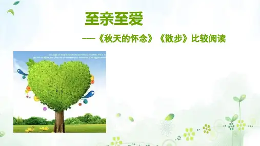 至亲至爱——《秋天的怀念》《散步》比较阅读