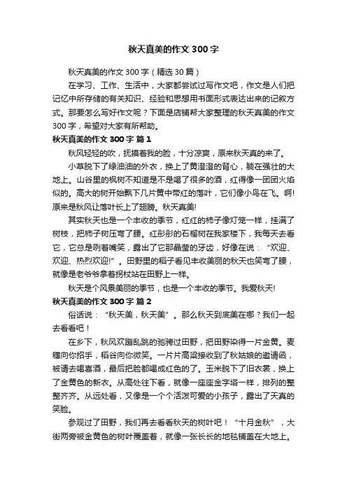 秋天真美的作文300字