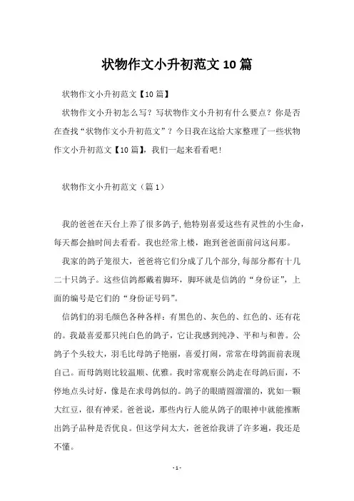 状物作文小升初范文10篇