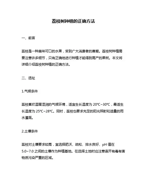 荔枝树种植的正确方法