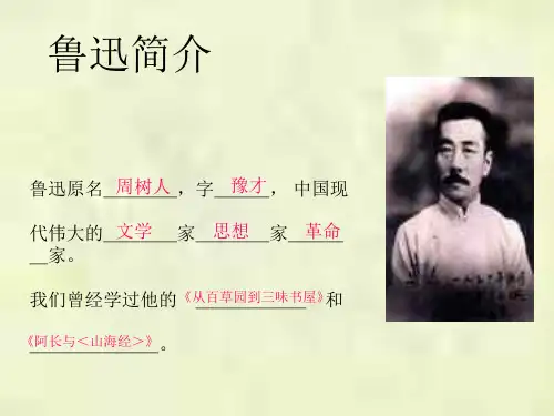 读书杂谈  北师大版(PPT)5-4