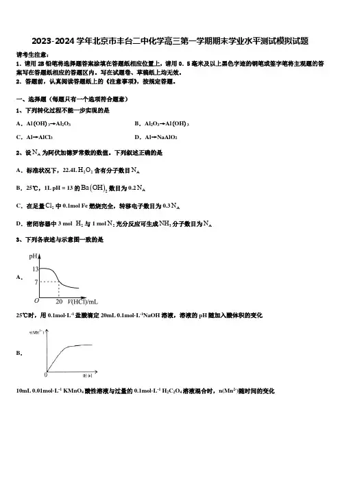 2023-2024学年北京市丰台二中化学高三第一学期期末学业水平测试模拟试题含解析