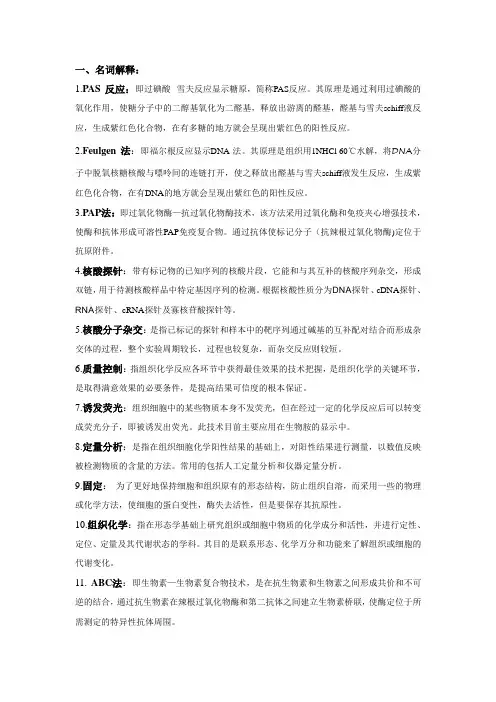 免疫组化 (2)