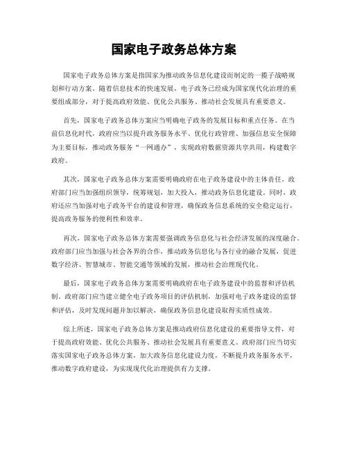 国家电子政务总体方案