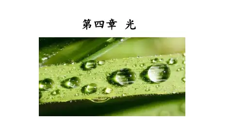 光的干涉课件-高二上学期物理人教版(2019)选择性必修第一册