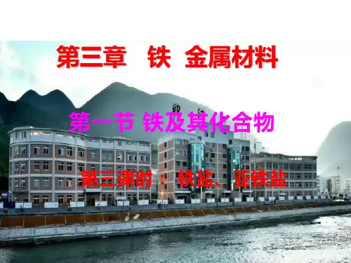 3.1.3铁及其化合物课件高一上学期化学人教版必修第一册(1)