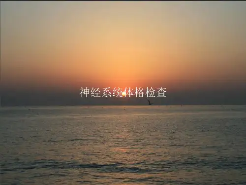 神经系统体格检查